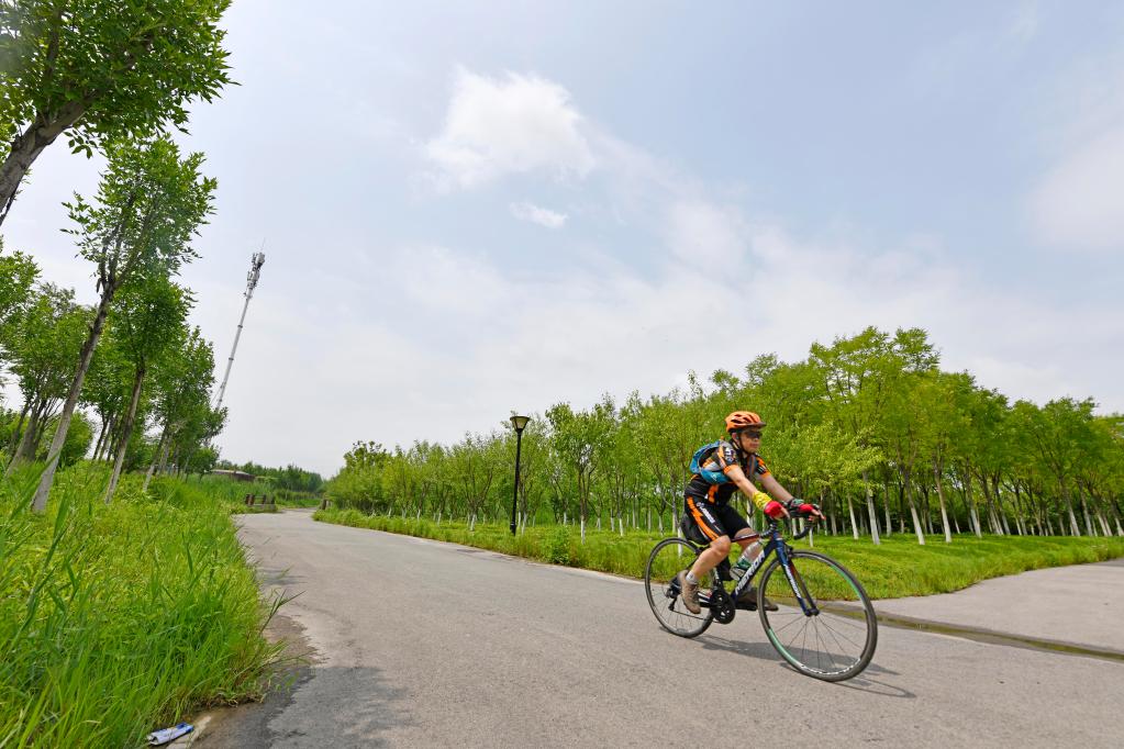 天津打造保护京津冀的绿色生态屏障