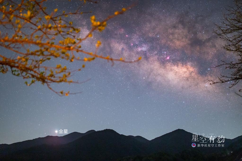6月“天象劇場”：看熠熠金星，賞“飛龍在天”